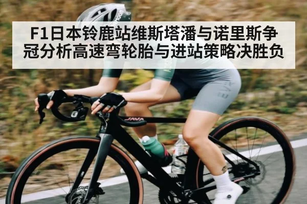 F1日本铃鹿站维斯塔潘与诺里斯争冠分析高速弯轮胎与进站策略决胜负